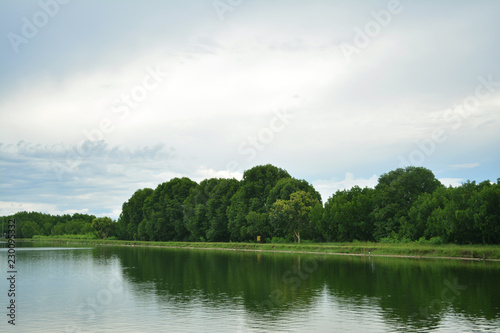Shadow of green tree in the river on blue sky background - Landscape of concept