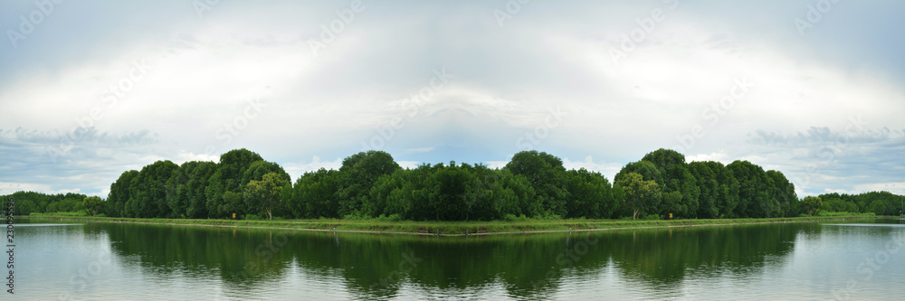 Shadow of green tree in the river on blue sky background - Landscape of concept