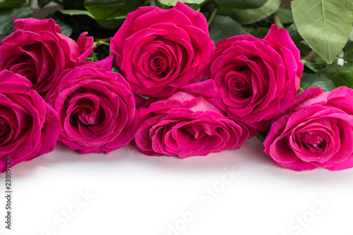 White background for an inscription or design with an ornament from large red flowers of roses