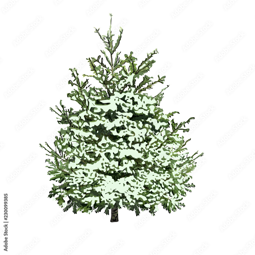 Fir-tree with green needles under snow Fir-tree with green needles under snow