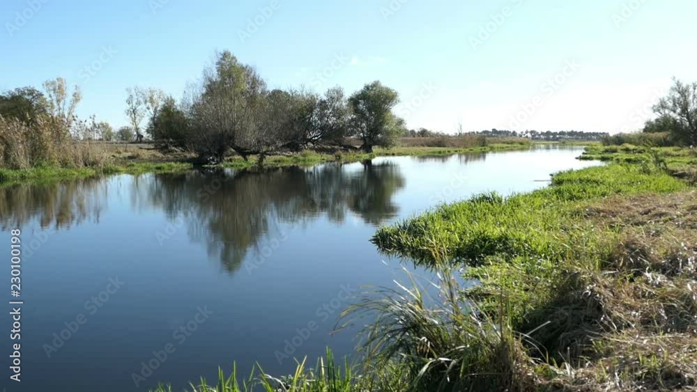 Willow trees on Havel river shore. Havelland region landscape. Willow trees on Havel river shore. Havelland region landscape.