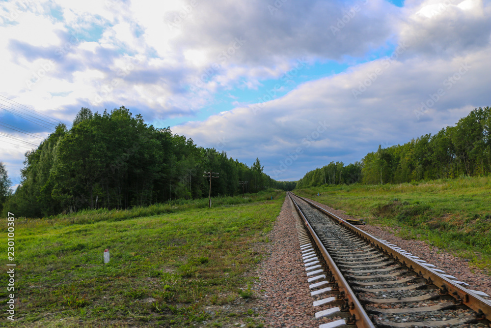 Obraz premium Railway. railway tracks among green forest and grass. empty rails without train and people.