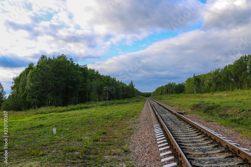 Railway. railway tracks among green forest and grass. empty rails without train and people.