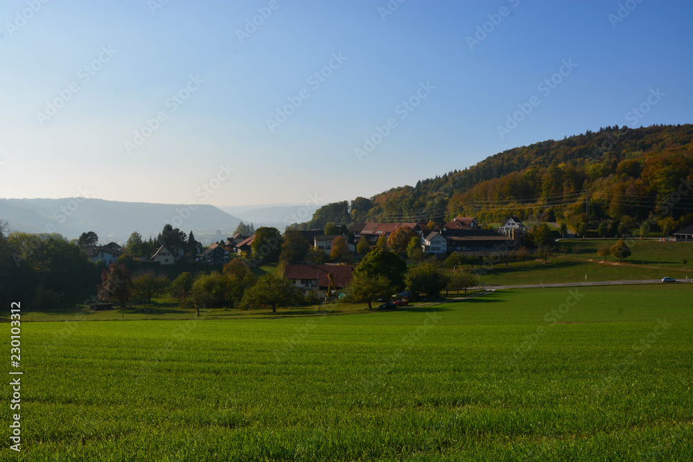 scenic wide angle view of village in switzerland