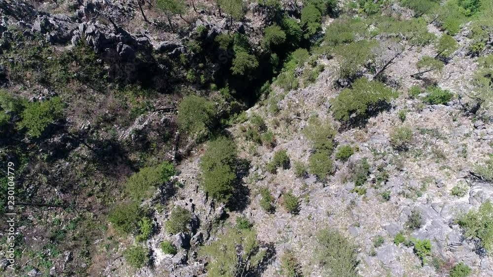 aerial drone flying over pine tree forest in wild nature mountains early morning sunrise in slow motion aerial drone flying over pine tree forest in wild nature mountains early morning sunrise in slow motion