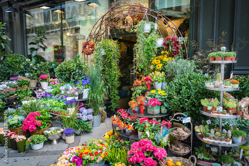Photography Florist store in Vienna, Austria