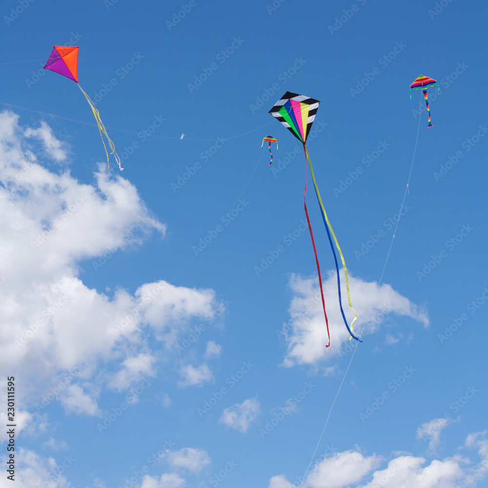 Kites Flying