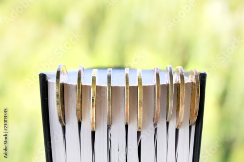 Graduation card for saving coins for scholarships for conceptual financing and education. Graduation microcline and gold coins near a book on a green background, concept of investment education, closi photo