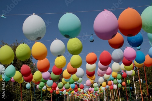 Palloncini colorati per una festa all'aperto