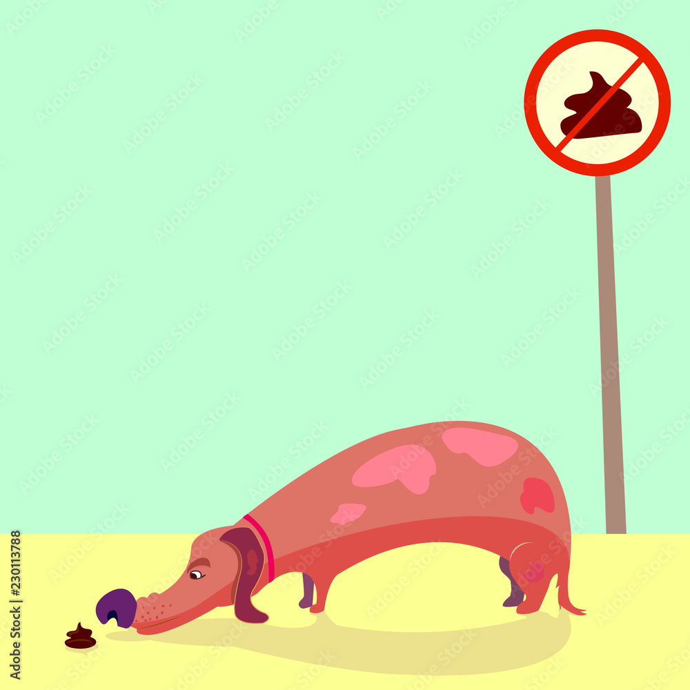 dog sniffs poop. doggie with short legs sniffing shit. cartoon style long dog like a dachshund with red collar. No pooping sign. Beautiful illustration. vector, eps 8 Stock Vector | Adobe Stock dog sniffs poop. doggie with short legs sniffing shit. cartoon style long dog like a dachshund with red collar. No pooping sign. Beautiful illustration. vector, eps 8 Stock Vector | Adobe Stock