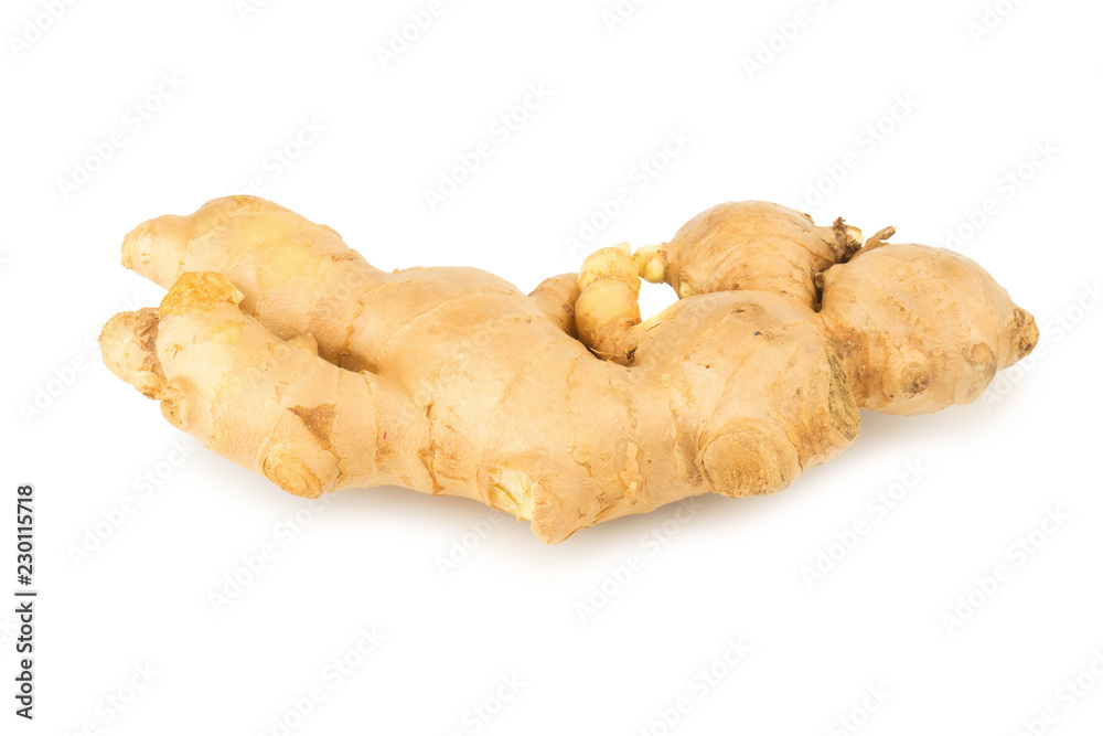 ginger isolated on white background ginger isolated on white background