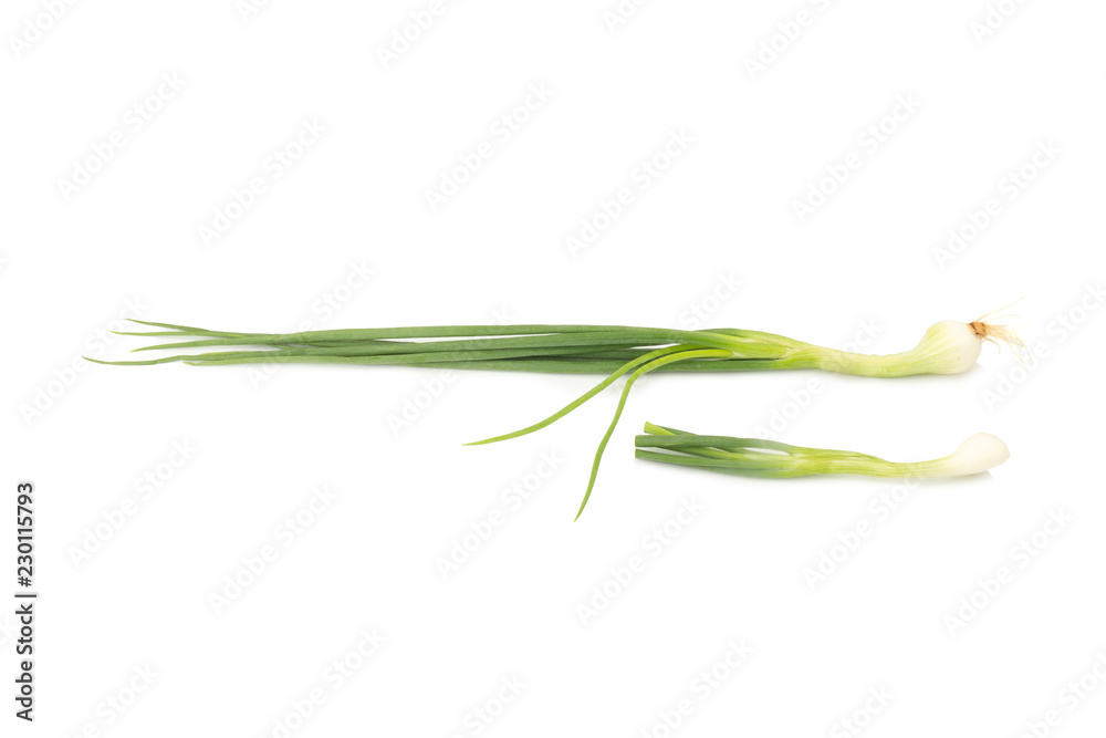 Fototapeta premium Spring onion isolated on white background