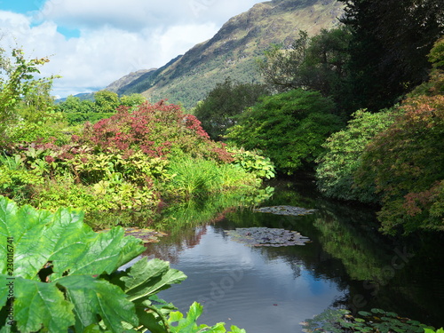 Benmore Botanic Garden, Scotland