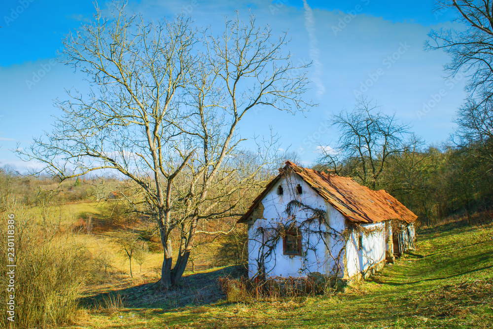 old house on the hill with twin trees on his side old house on the hill with twin trees on his side
