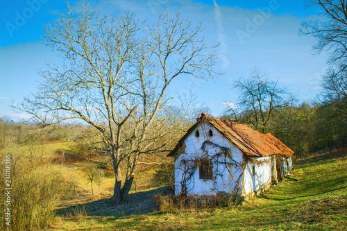 old house on the hill with twin trees  on his side © coolgabituca