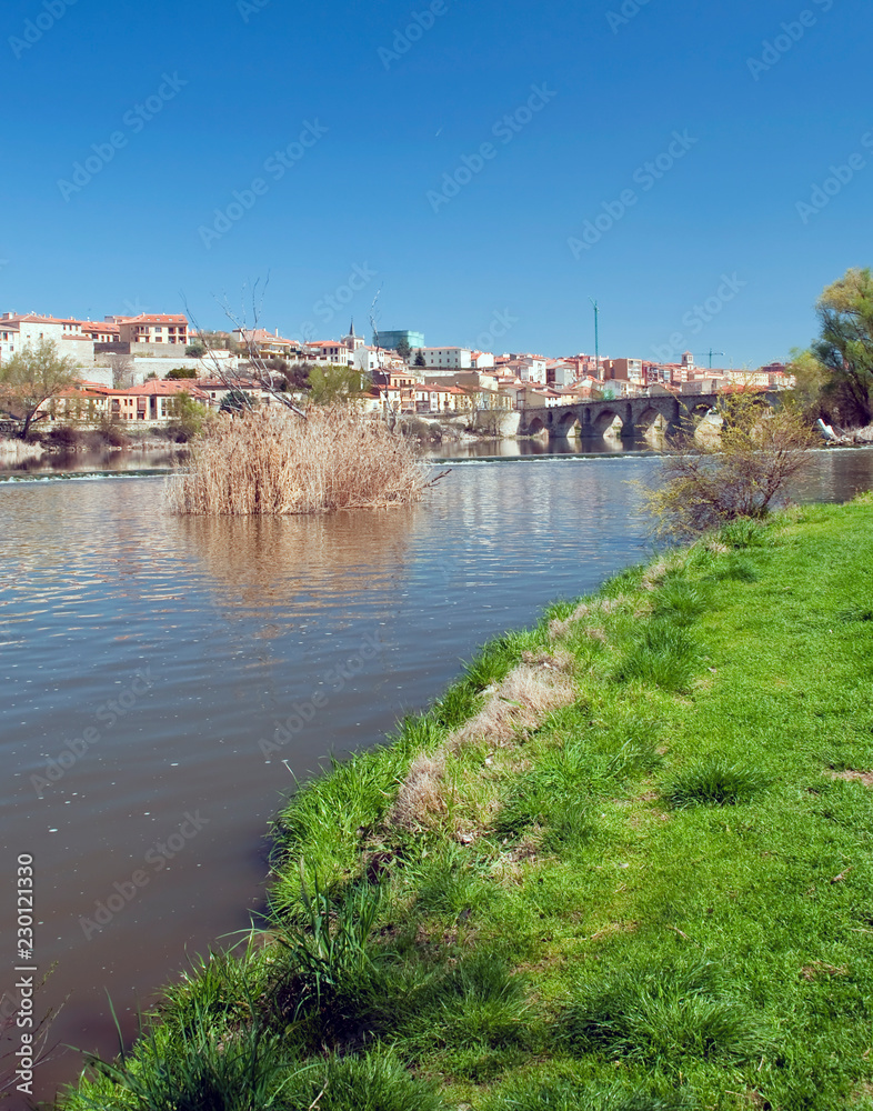 Obraz premium Zamora City view from the Douro can see your wall
