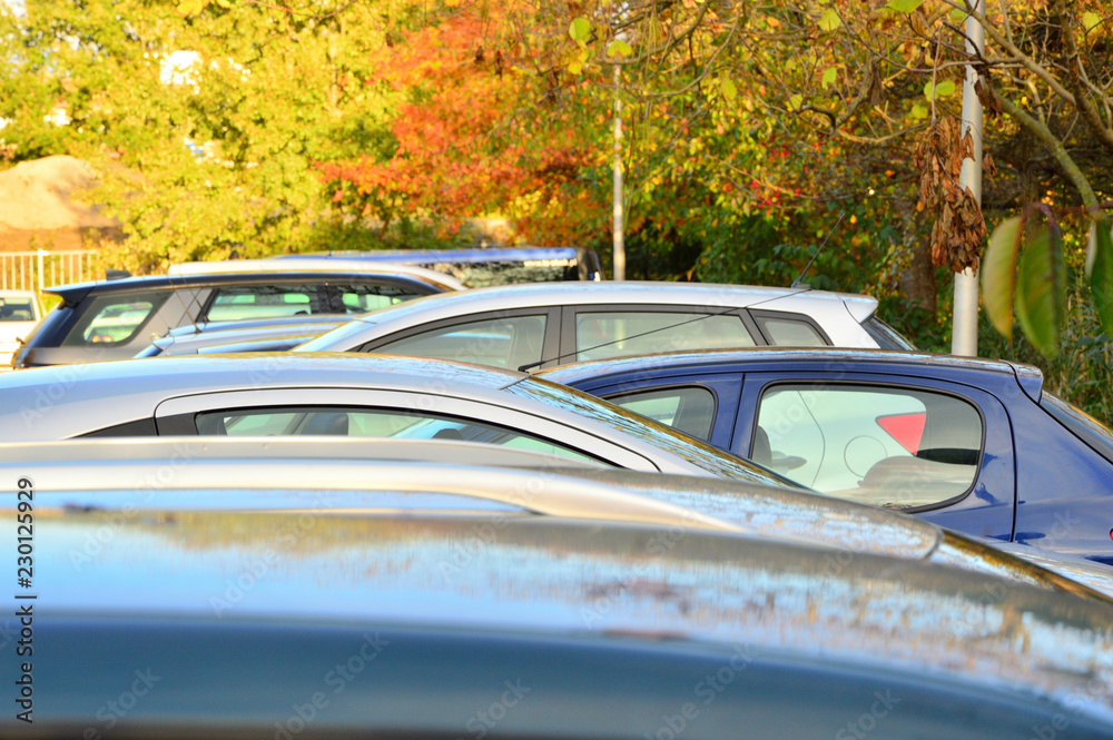 Dachy samochodów na parkingu w jesienny dzień. - obrazy, fototapety, plakaty 