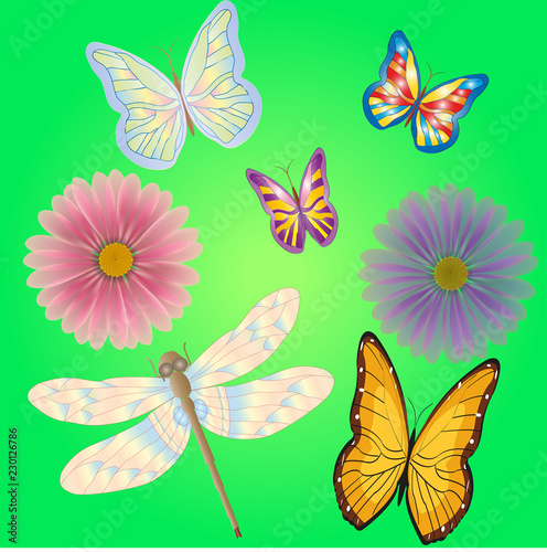 Butterflies and flowers © Anna Vasilenko