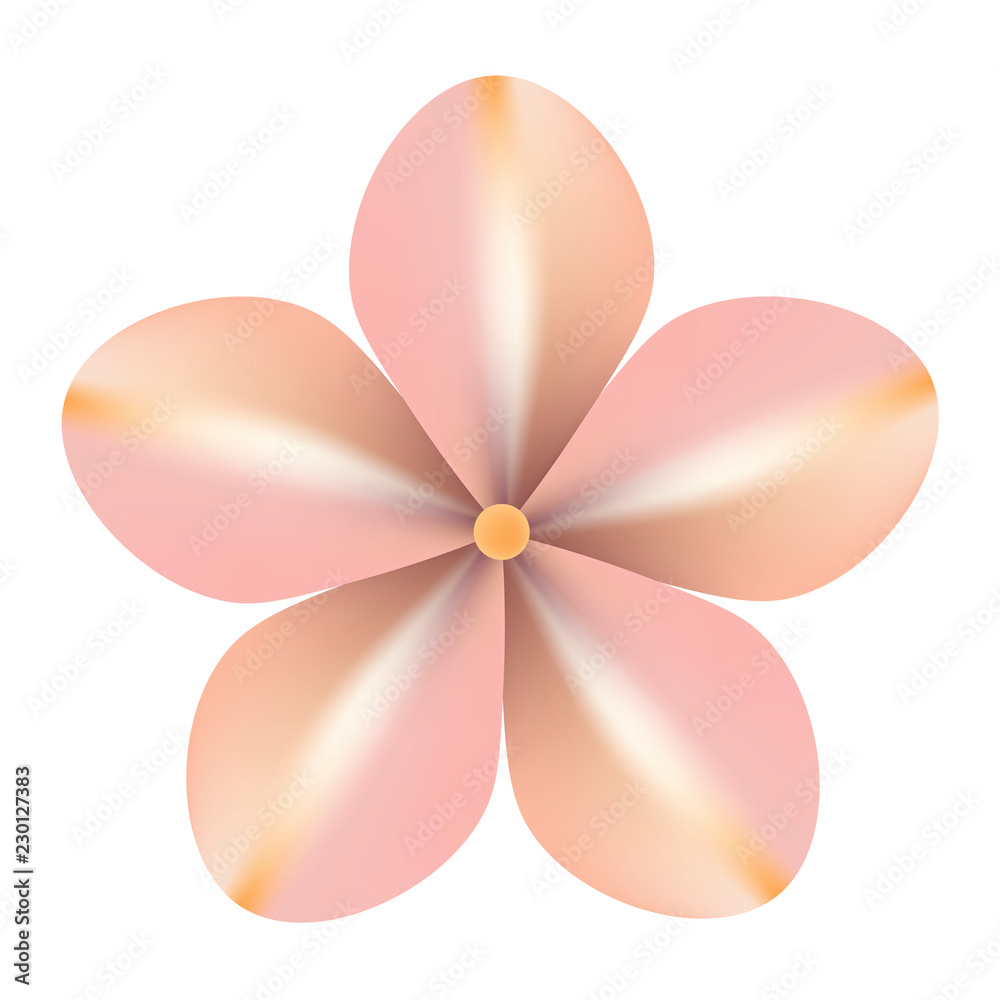 Cute pink head of flower, top view, floral element isolated on white background. Vector illustration. 