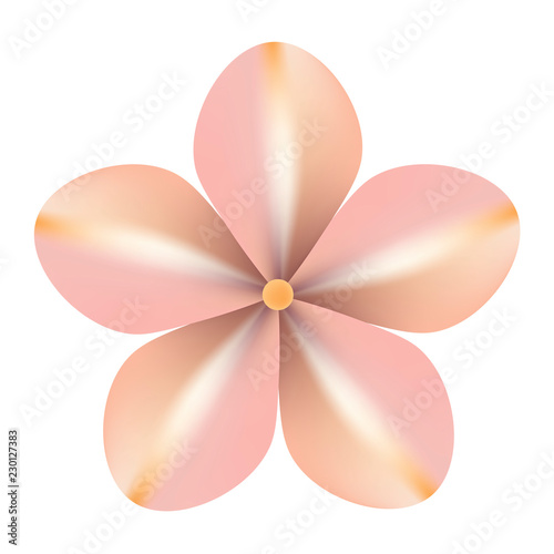 Cute pink head of flower, top view, floral element isolated on white background. Vector illustration. 
