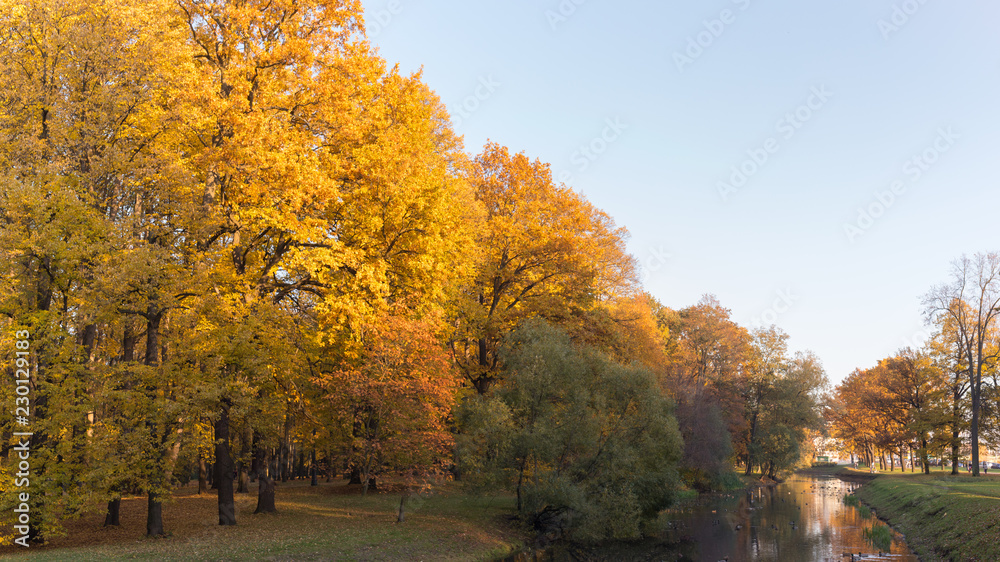 Autumn park on the banks of the creek in St. Petersburg Autumn park on the banks of the creek in St. Petersburg