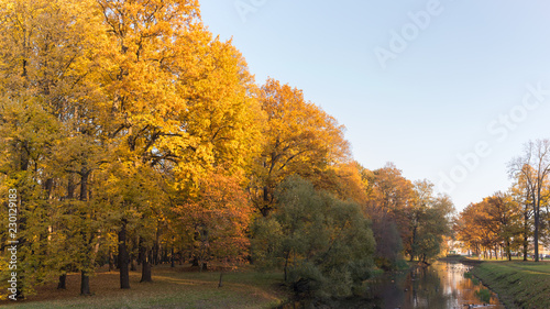 Autumn park on the banks of the creek in St. Petersburg