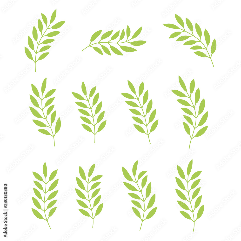 Set of plants isolated on white background. Floral design elements set. Foliage icon. Tree branch with leaves. Vector illustration. Set of plants isolated on white background. Floral design elements set. Foliage icon. Tree branch with leaves. Vector illustration.