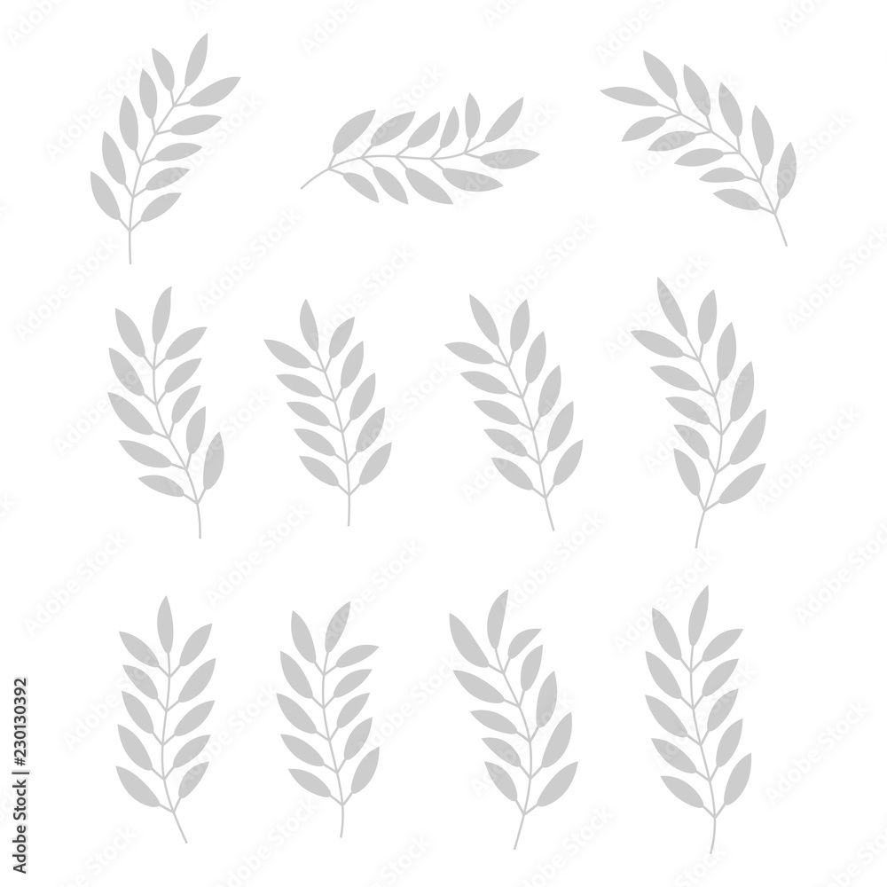 Set of plants isolated on white background. Floral design elements set. Foliage icon. Tree branch with leaves. Vector illustration. Set of plants isolated on white background. Floral design elements set. Foliage icon. Tree branch with leaves. Vector illustration.