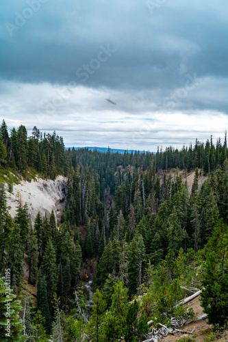 Annie Creek Canyon inside Crater Lake National Park in Oregon, USA