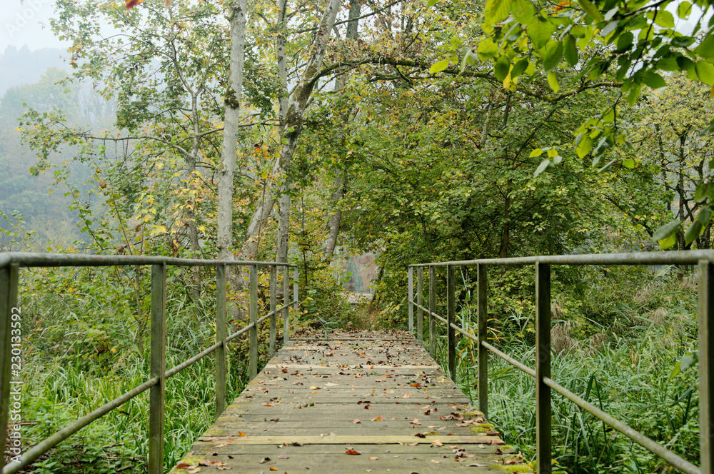 Obraz premium Alte Brücke im Wald.