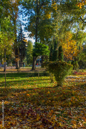 Taras Shevchenko Park (Green Building) photo