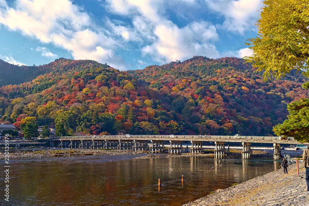 Fototapeta premium 嵐山 (紅葉 11月 秋)
