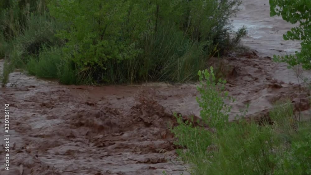 Flash Flood Waters flows through the Canyonlands Needle District Utah USA Flash Flood Waters flows through the Canyonlands Needle District Utah USA