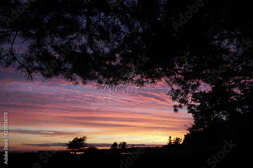 purple sunset at  northern beach
