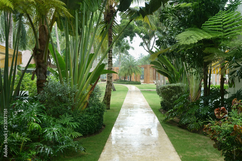 Luxuriant tropical garden and footpath of a tourist resort on a rainy day