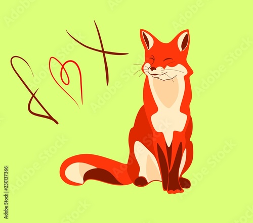 cute fox