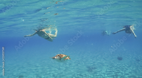 Swimming with Turtles on the Caribbean Island of Curacao © Gail Johnson