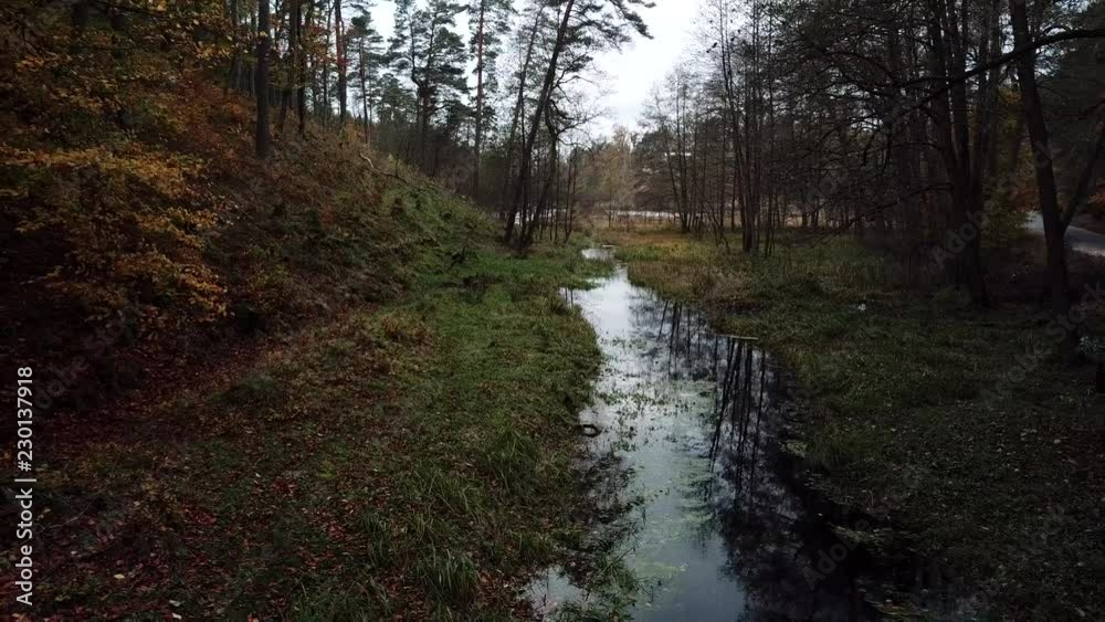 meadow river brook green forest autumn water nature meadow river brook green forest autumn water nature