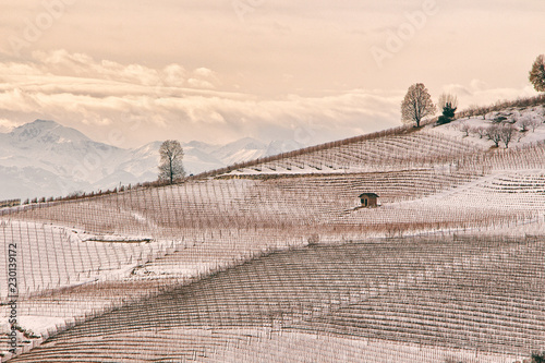 Принти на полотні Langhe hills in winter with a ciabot (little buildings, in the local dialect cal