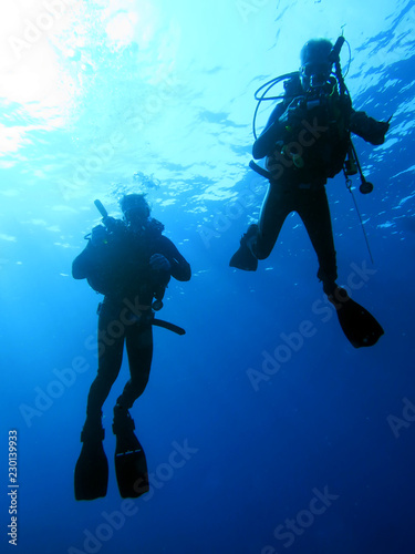 Wallpaper Mural Taucher-Silhouette im Gegenlicht Torontodigital.ca