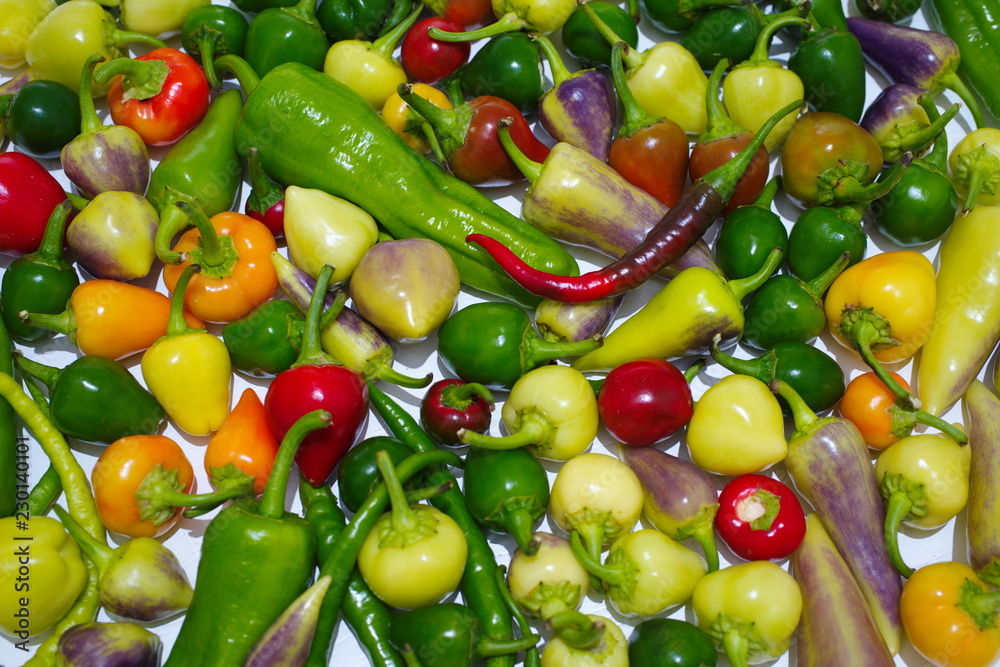 pickle supplies pickle supplies