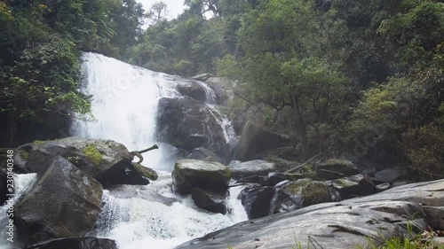 Tropical rainforest wilderness in Thailand photo