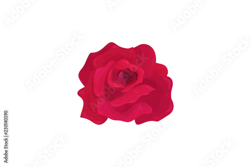 Vector illustration: Rose Flower bud isolated.