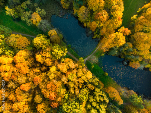 Fototapeta Naklejka Na Ścianę i Meble -  Aerial colorful forest scene in autumn with orange and yellow foliage.