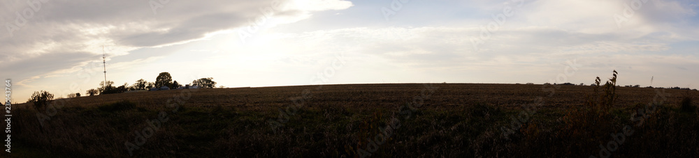 Corn and Clouds Panoramic 