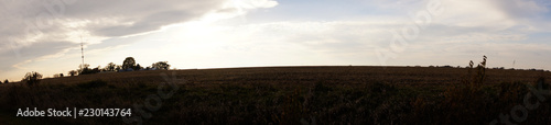 Corn and Clouds Panoramic 