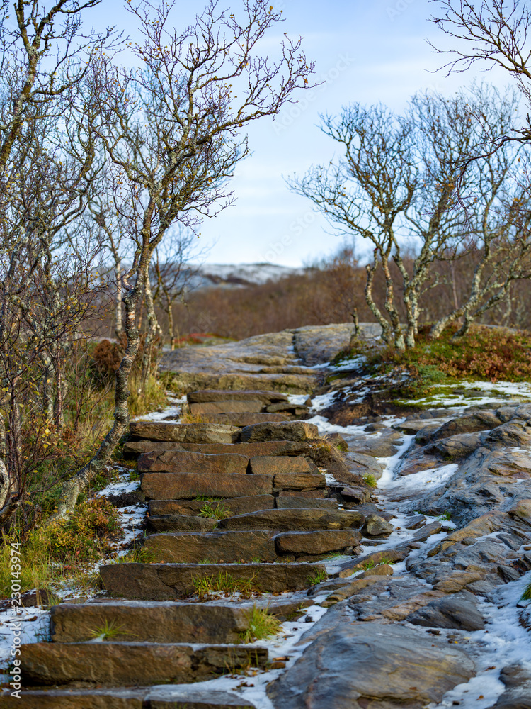 Beautiful hiking trail with natural stairs and lined with crooked trees Beautiful hiking trail with natural stairs and lined with crooked trees