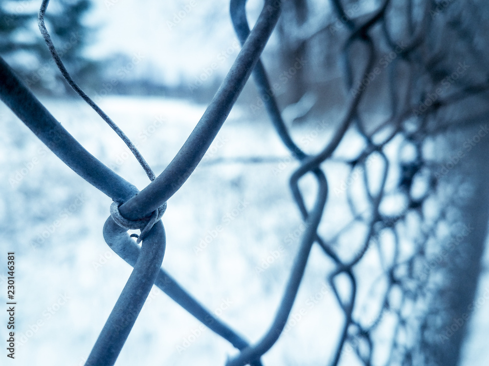 Winter frozen fence Winter frozen fence