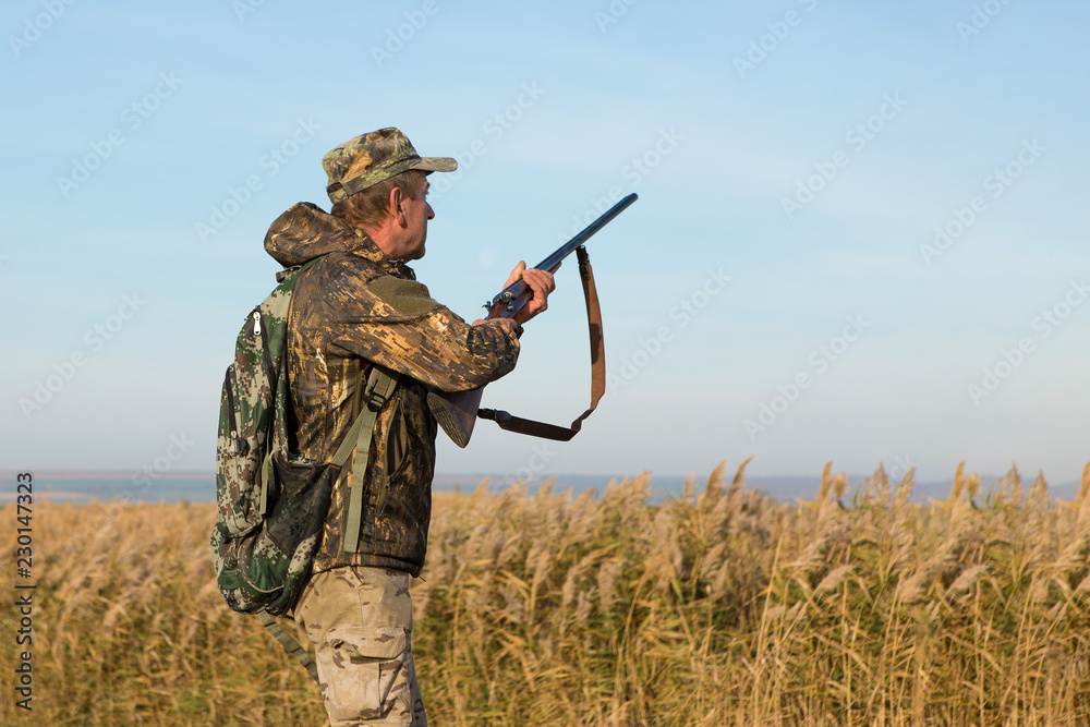 Hunters with a german drathaar and spaniel, pigeon hunting with dogs in reflective vests Hunters with a german drathaar and spaniel, pigeon hunting with dogs in reflective vests