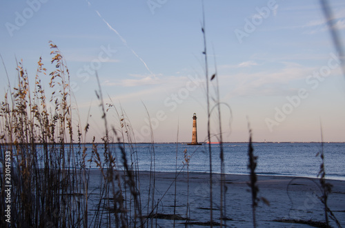 Fototapeta Naklejka Na Ścianę i Meble -  Beach grasses and reeds form a natural frame with the Morris Island Lighthouse in Folly Beach South Carolina at Sunset
